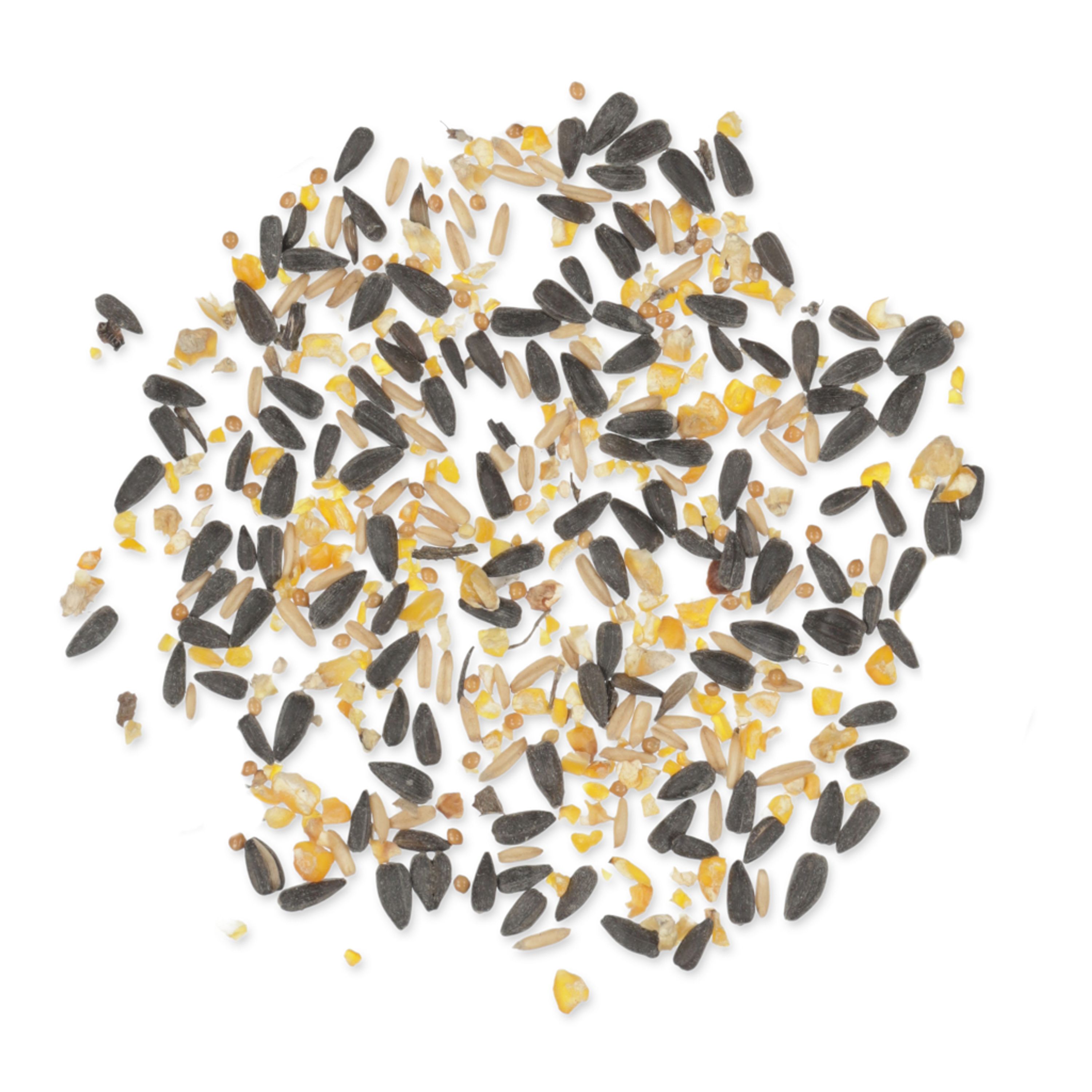 Green+ Premium Streufutter 2,5kg (biologischer Anbau) | Vogelfutter | CJ Wildlife